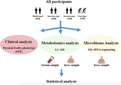 Distinct Serum and Fecal Metabolite Profiles Linking With Gut Microbiome in Older Adults With Frailty